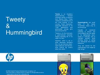 Tweety &amp; Hummingbird