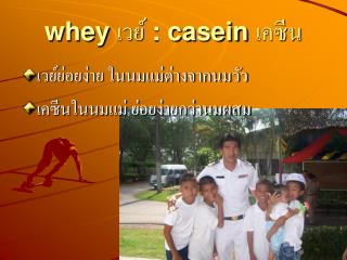 whey เวย์ : casein เคซีน