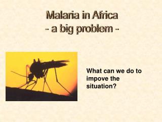 Malaria in Africa - a big problem -