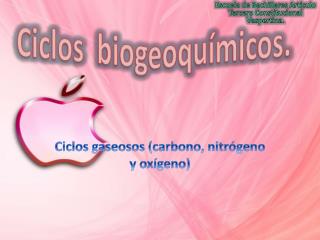 Ciclos biogeoquímicos.