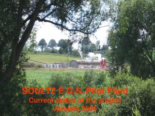 SOULTZ E.G.S. Pilot Plant Current status of the project January 2006