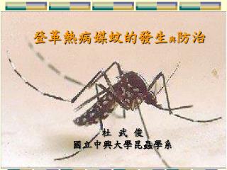登革熱病媒蚊的發生 與 防治