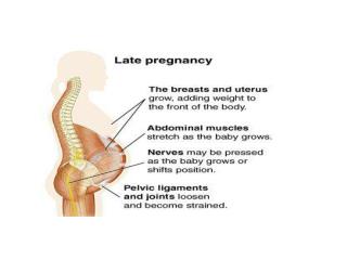 PAIN DURING PREGNANCY