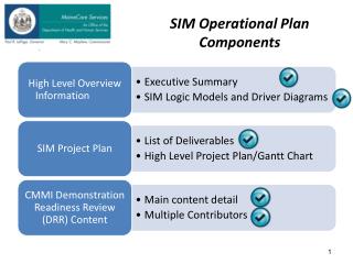 SIM Operational Plan Components