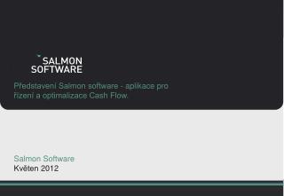 Představení Salmon software - aplikace pro řízení a optimalizace Cash Flow.