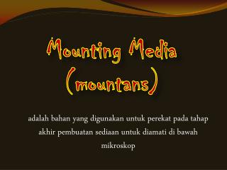 Mounting Media ( mountans )