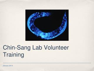 Chin-Sang Lab Volunteer Training