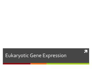 Eukaryotic Gene Expression