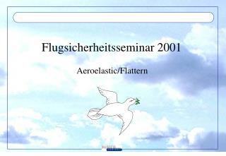 Flugsicherheitsseminar 2001
