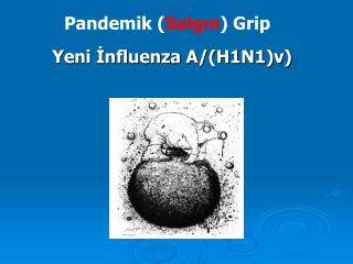 Yeni İnfluenza A/(H1N1)v)