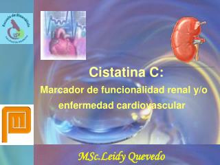 Cistatina C: