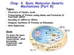 Chap. 4. Basic Molecular Genetic Mechanisms Part B