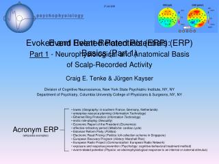 Evoked and Event-Related Potentials (ERP) Part 1 - Neurophysiological and Anatomical Basis