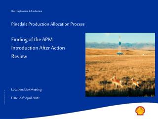Pinedale Production Allocation Process