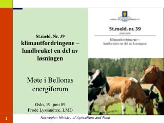 Møte i Bellonas energiforum Oslo, 19. juni 09 Frode Lyssandtræ, LMD