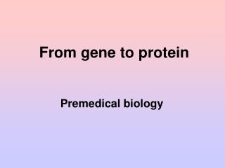From gene to protein