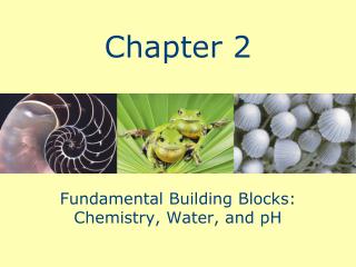 Fundamental Building Blocks: Chemistry, Water, and pH