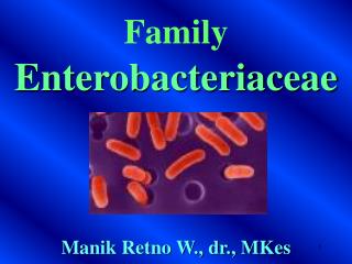 Family Enterobacteriaceae Manik Retno W., dr., MKes