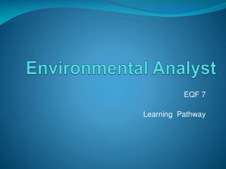 Environmental Analyst