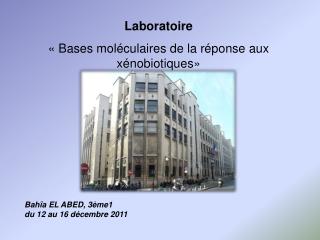 Laboratoire « Bases moléculaires de la réponse aux xénobiotiques»