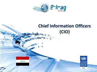 Chief Information Officers (CIO)