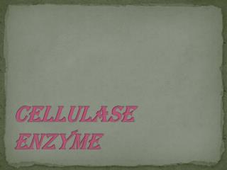 Cellulase enzyme