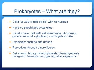 Prokaryotes – What are they?