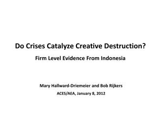 Do Crises Catalyze Creative Destruction? Firm Level Evidence From Indonesia