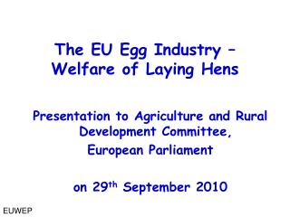 The EU Egg Industry – Welfare of Laying Hens