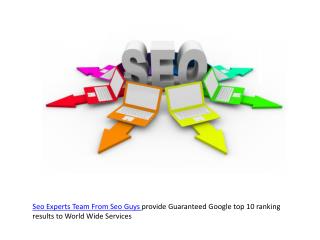 Seo Experts Team From Seo Guys