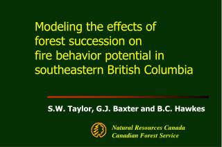 Modeling the effects of forest succession on fire behavior potential in