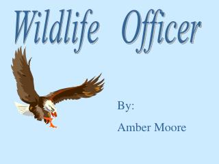 Wildlife Officer