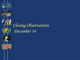 Closing Observations December 14