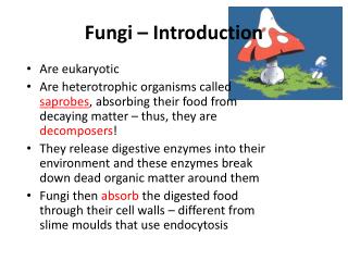 Fungi – Introduction