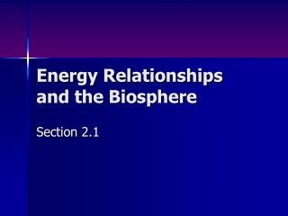 Energy Relationships and the Biosphere