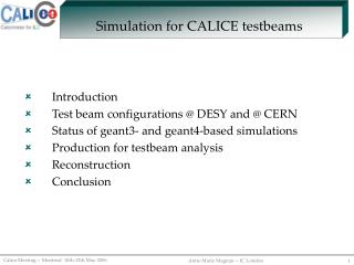 Simulation for CALICE testbeams