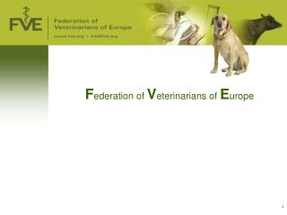 F ederation of V eterinarians of E urope