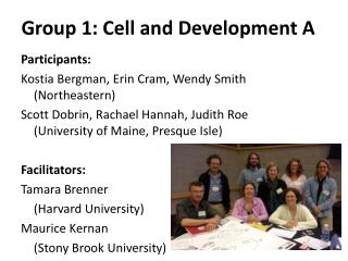 Group 1: Cell and Development A