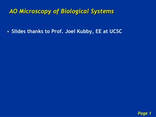 AO Microscopy of Biological Systems
