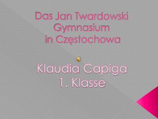 Das Jan Twardowski Gymnasium in Częstochowa
