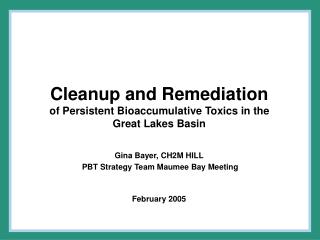 Cleanup and Remediation of Persistent Bioaccumulative Toxics in the Great Lakes Basin