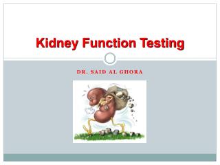Kidney Function Testing