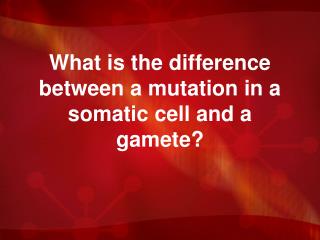 What is the difference between a mutation in a somatic cell and a gamete?