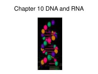 Chapter 10 DNA and RNA