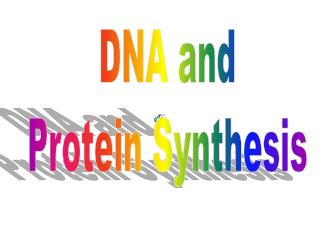 DNA and Protein Synthesis