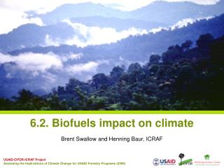 6.2. Biofuels impact on climate