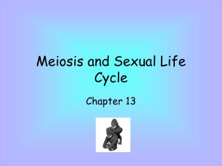 Meiosis and Sexual Life Cycle