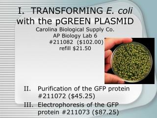 Purification of the GFP protein #211072 ($45.25)