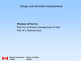Image and metadata management