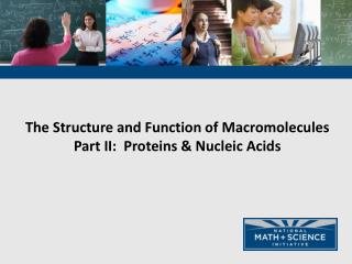 The Structure and Function of Macromolecules Part II: Proteins &amp; Nucleic Acids